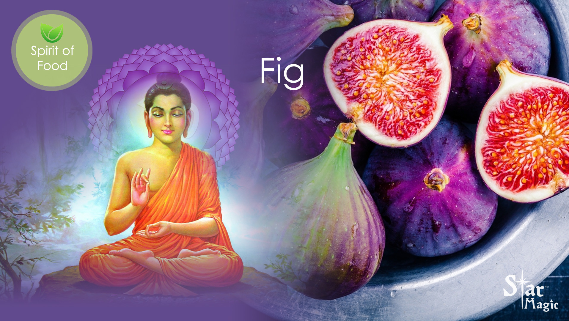 Spirit Food Fig Star Magic