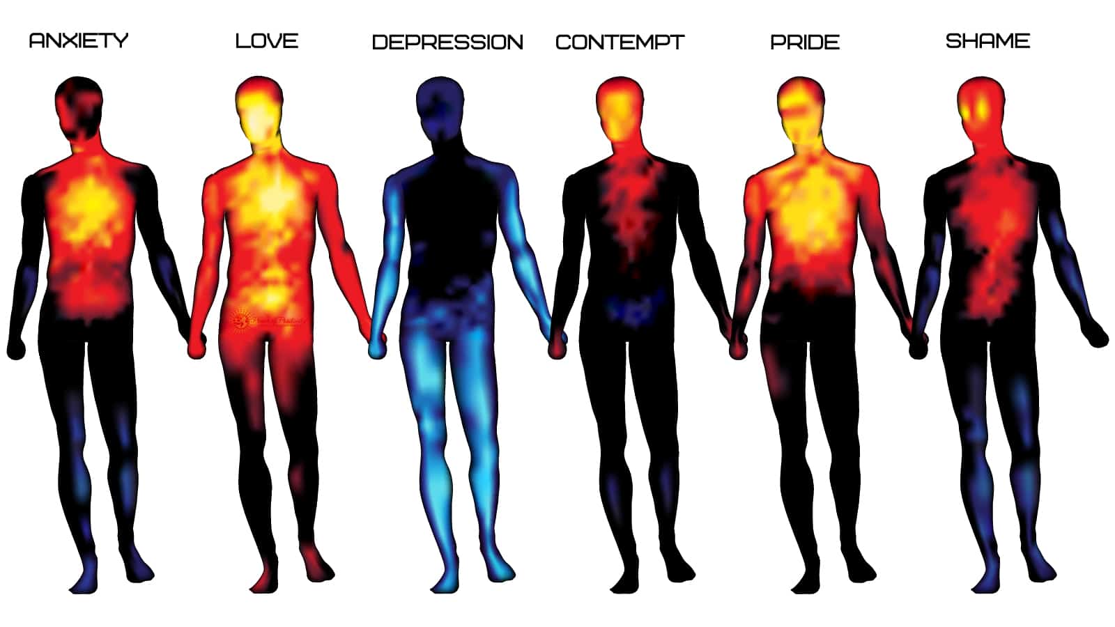 Emotional Body Chart