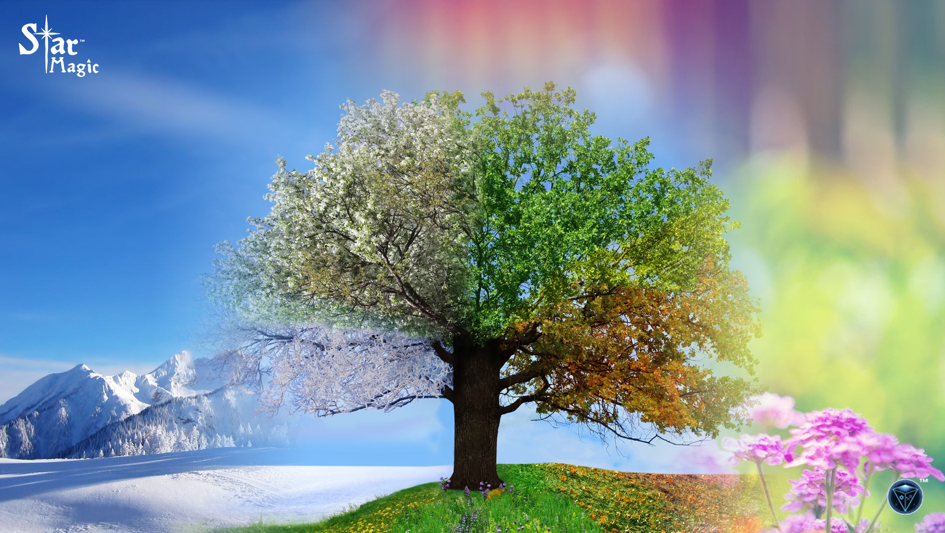 The Spring Equinox Star Magic